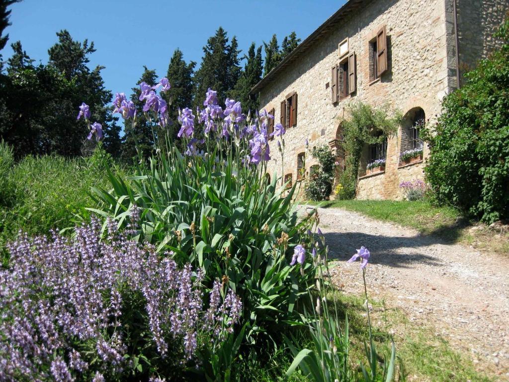 Agriturismo Il Caio Cetona Exterior foto